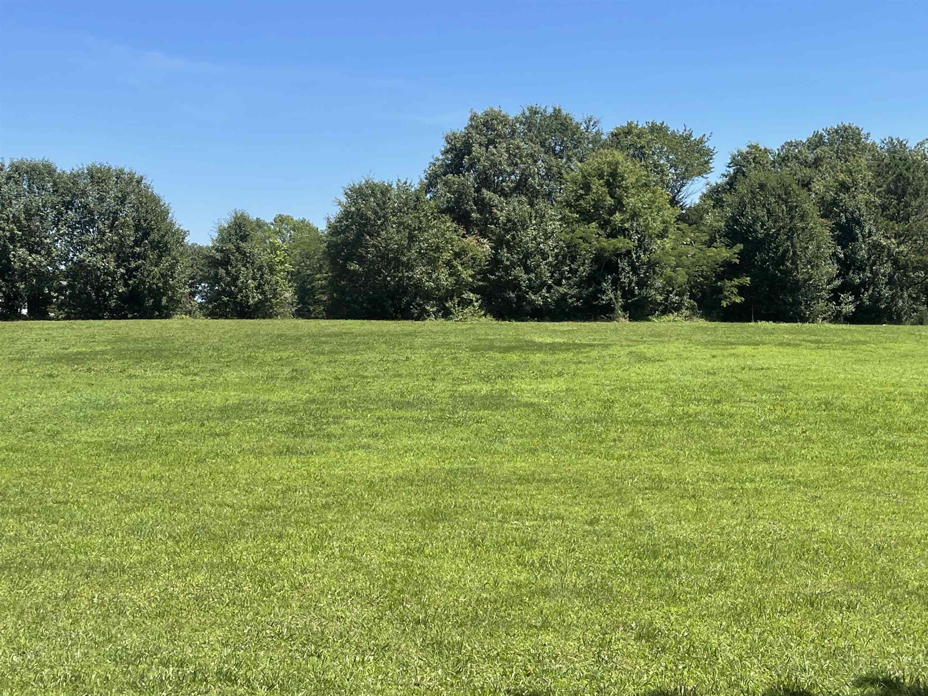 986 Gilchrist Stantonville Road Adamsville, TN 38310 - Photo 32 of 33 Gallery Image 32