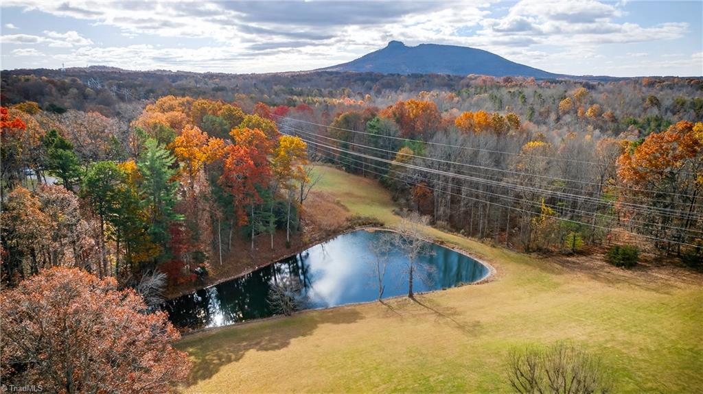 950 Dodson Mill Road Pilot Mountain, NC 27041 - Photo 4 of 39