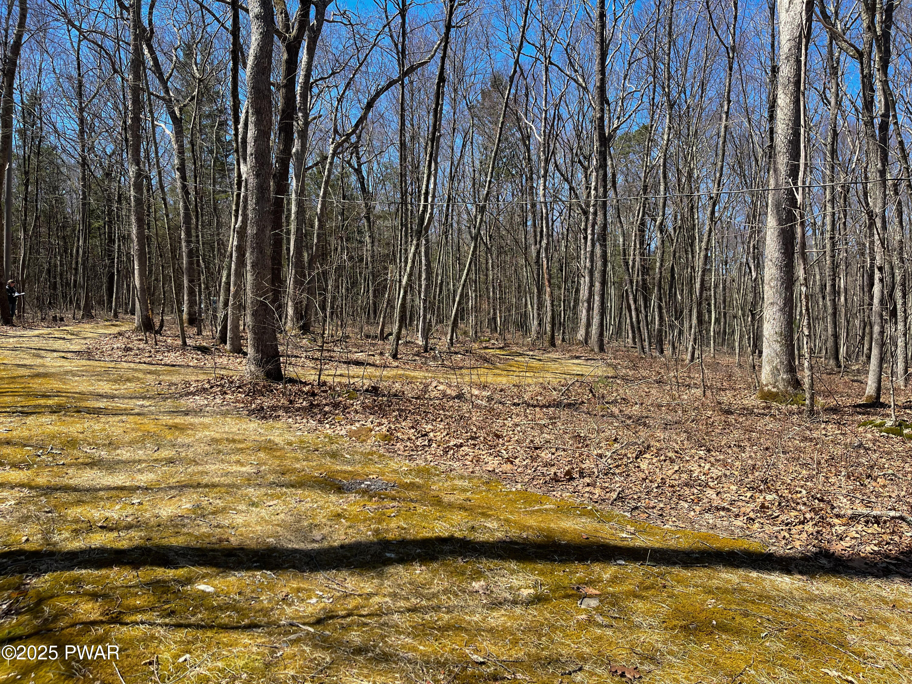 159 Five Mile Mdw Road, Unit 19C 957 Dingmans Ferry, PA 18328 - Photo 11 of 13 Driveway