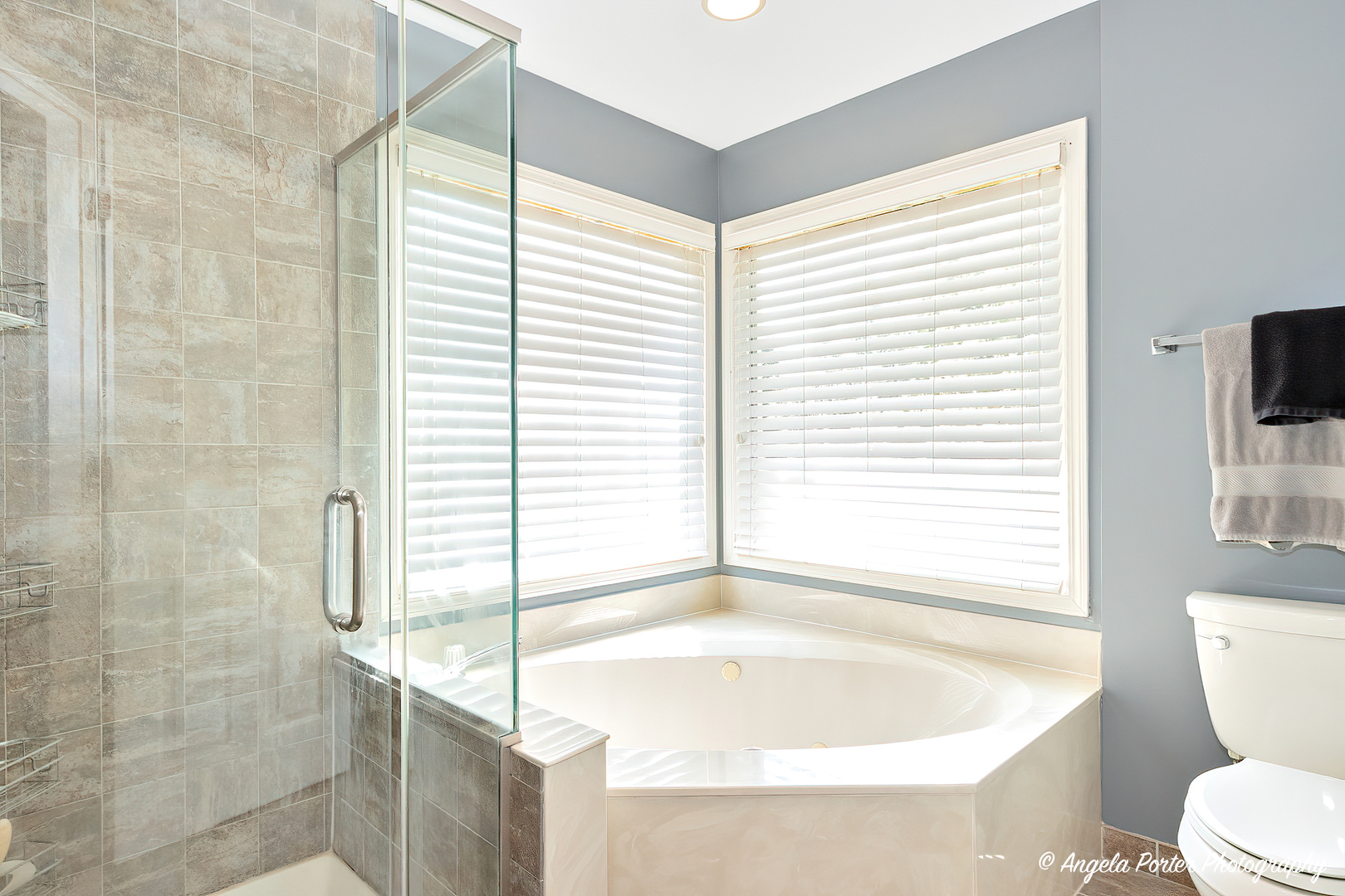 600 Raintree Road Buffalo Grove, IL 60089 - Photo 26 of 46 a bathroom with a bathtub and next to a window