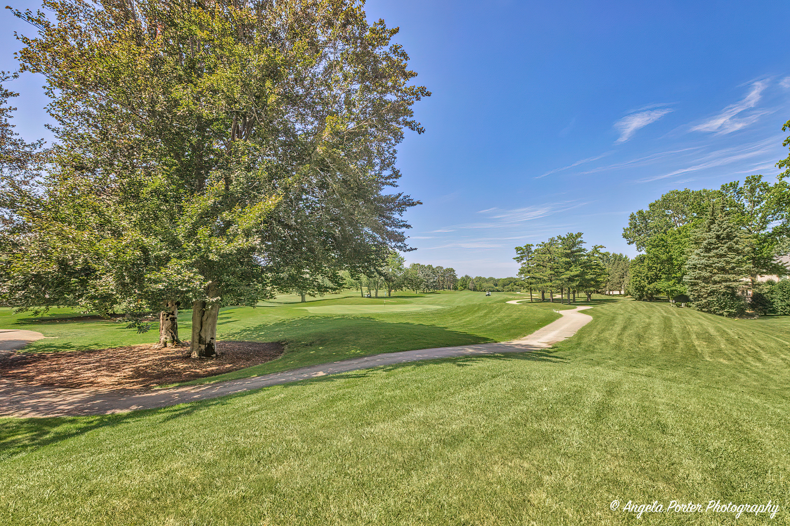 600 Raintree Road Buffalo Grove, IL 60089 - Photo 43 of 46 a view of swimming pool with a yard