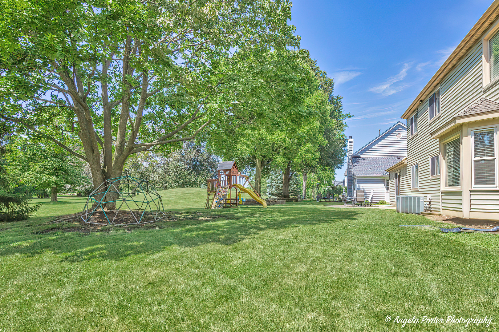 600 Raintree Road Buffalo Grove, IL 60089 - Photo 44 of 46 a view of a backyard with a tree