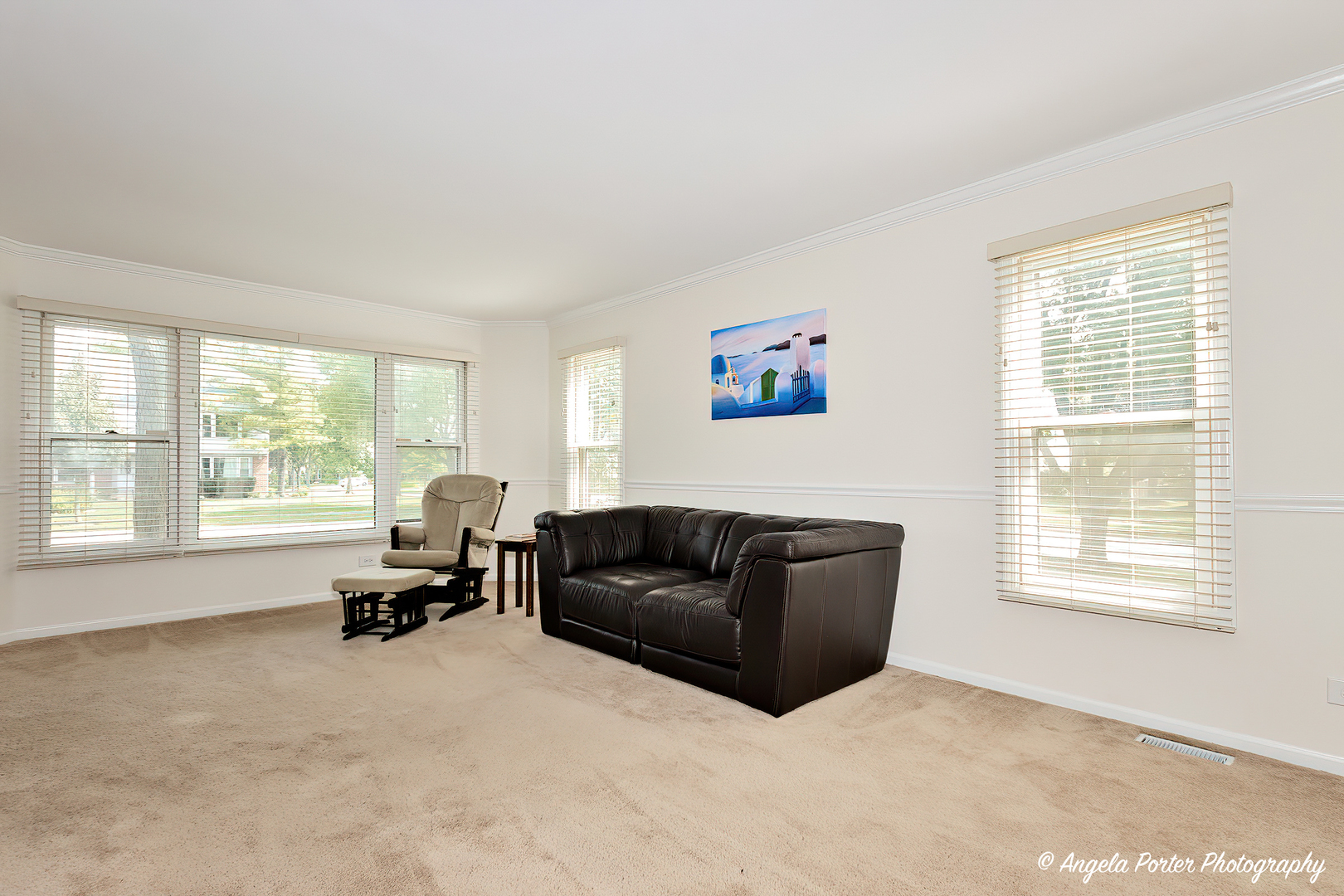 600 Raintree Road Buffalo Grove, IL 60089 - Photo 8 of 46 a living room with furniture window and a flat screen tv
