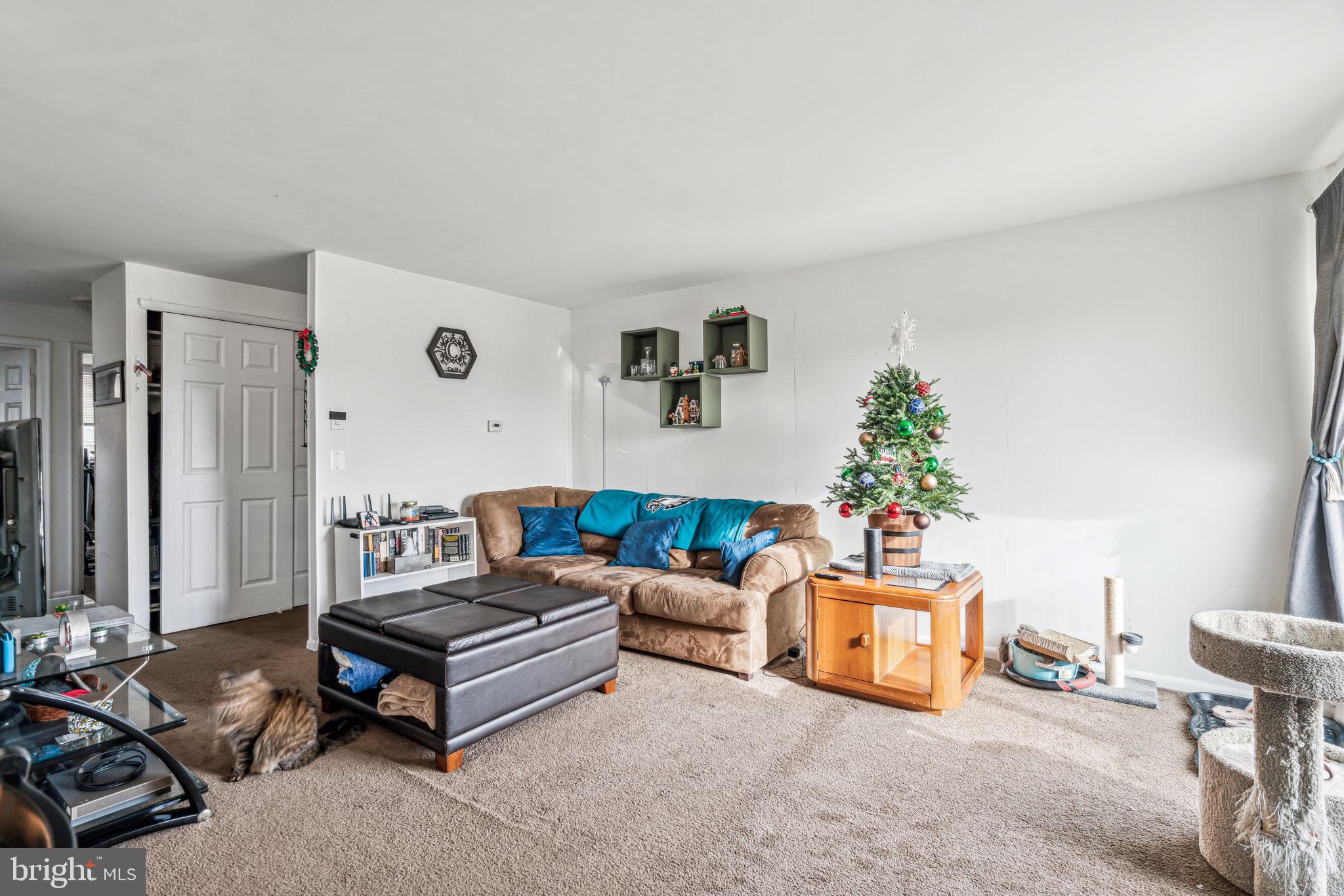 10203 East Keswick Road Philadelphia, PA 19114 - Photo 22 of 36 a living room with furniture and a potted plant