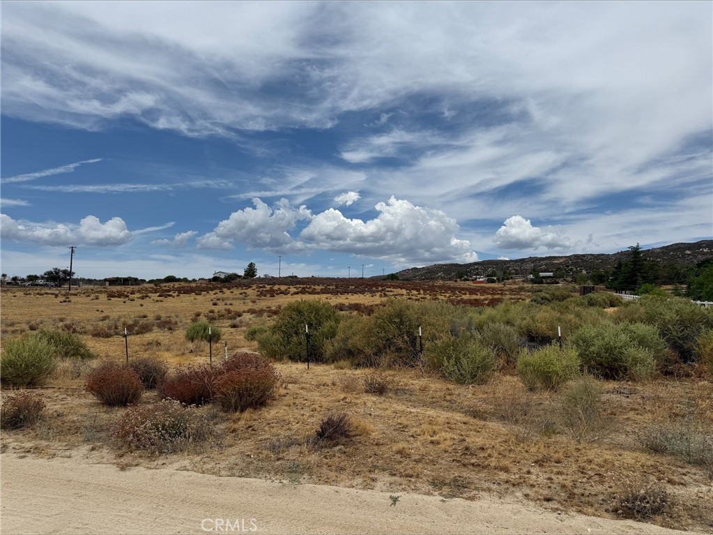 42890 Tamatea Road Anza, CA 92539 - Photo 5 of 10 Gallery Image 5