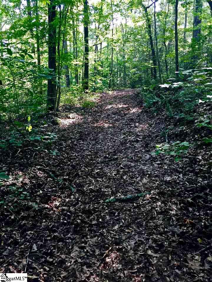 0 Hidden Hills Road Marietta, SC 29661 - Photo 11 of 11