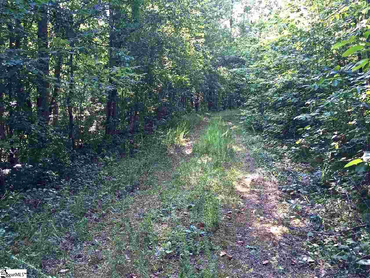 0 Hidden Hills Road Marietta, SC 29661 - Photo 4 of 11