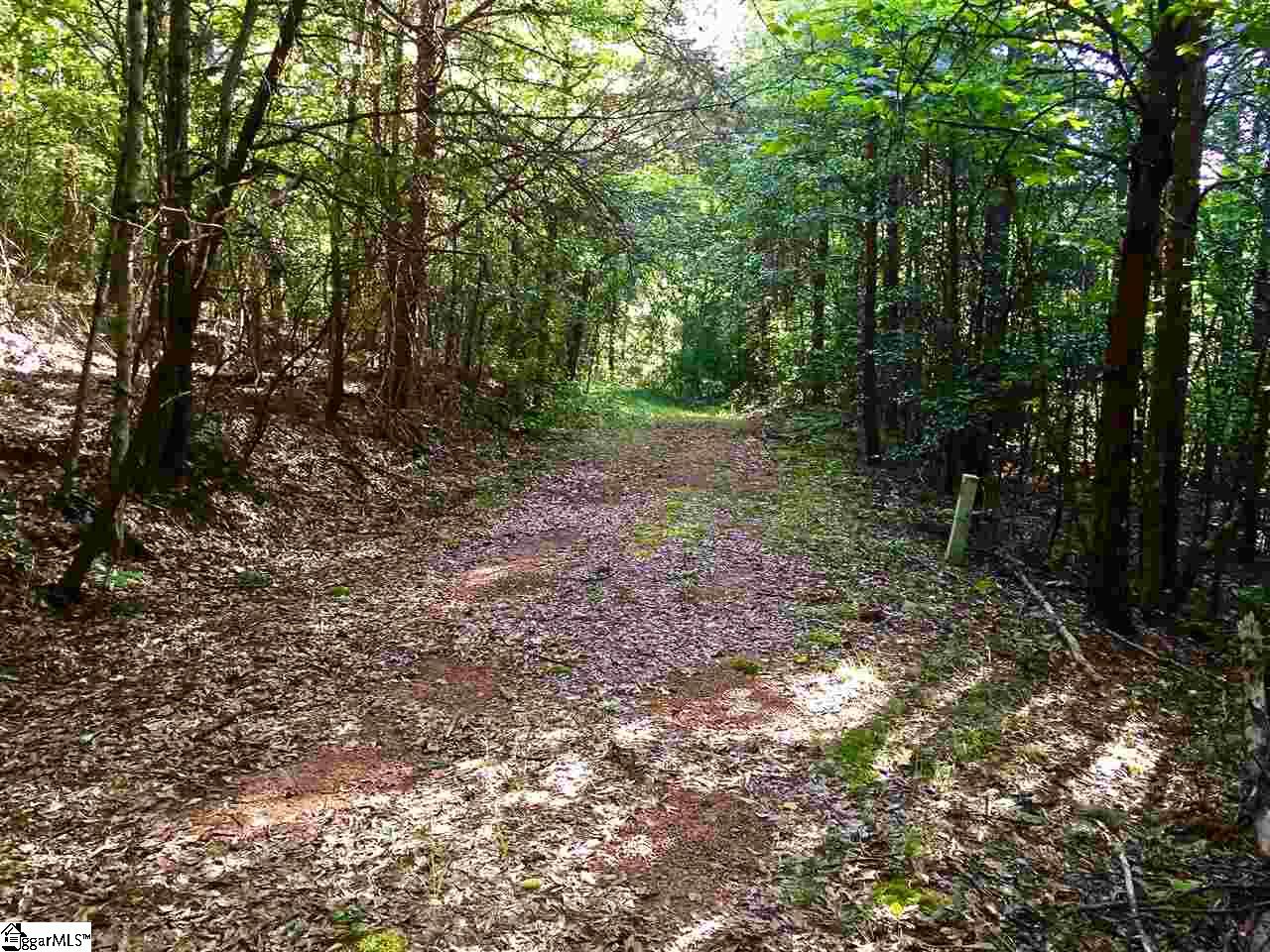 0 Hidden Hills Road Marietta, SC 29661 - Photo 5 of 11