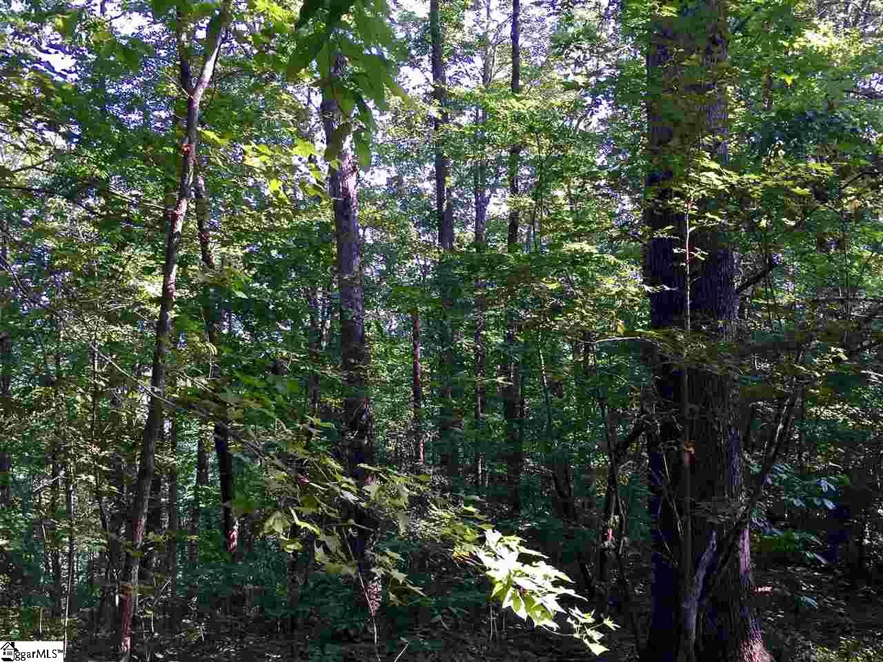 0 Hidden Hills Road Marietta, SC 29661 - Photo 6 of 11