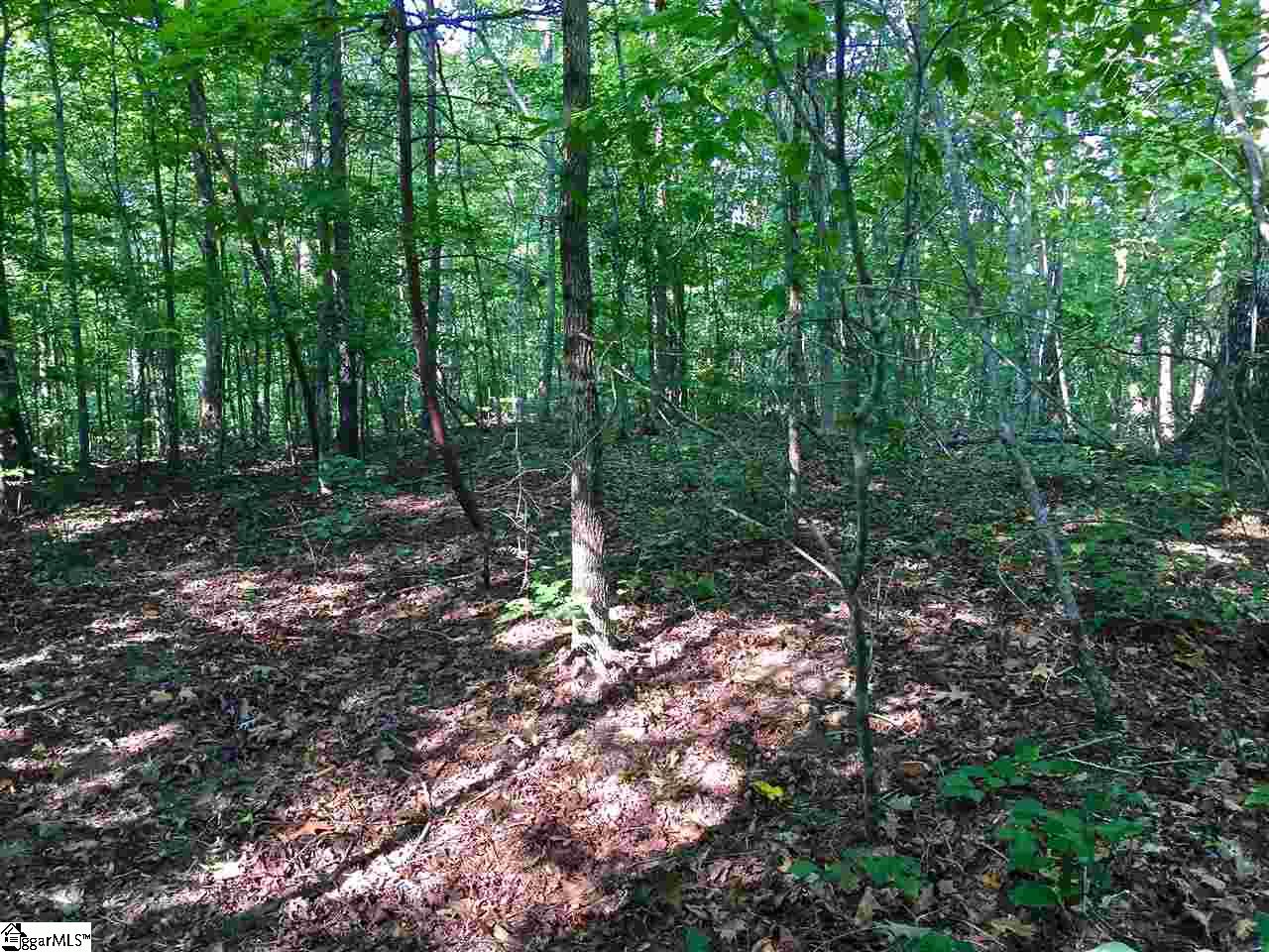 0 Hidden Hills Road Marietta, SC 29661 - Photo 7 of 11