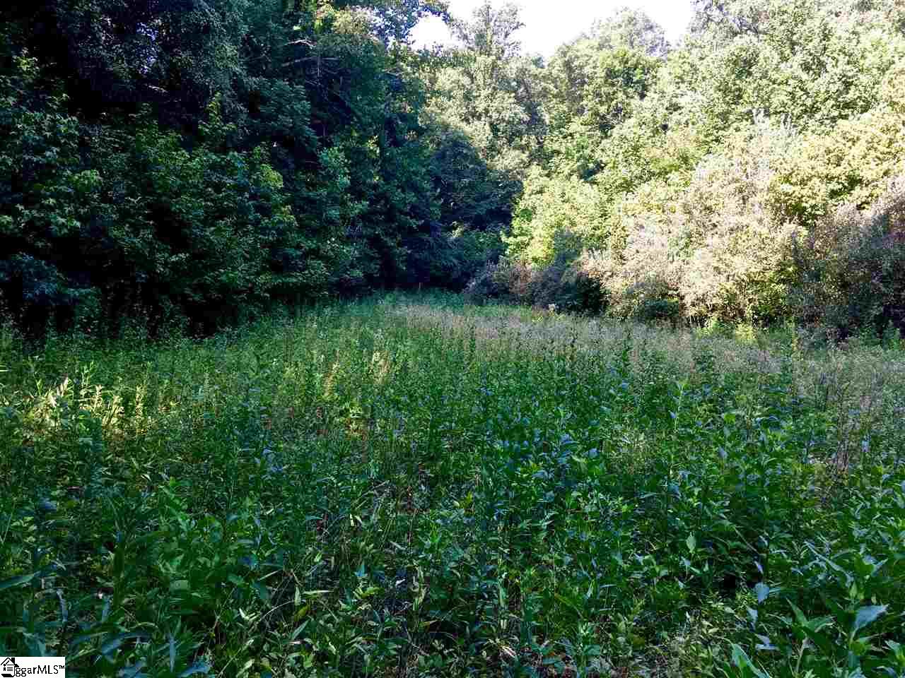 0 Hidden Hills Road Marietta, SC 29661 - Photo 8 of 11