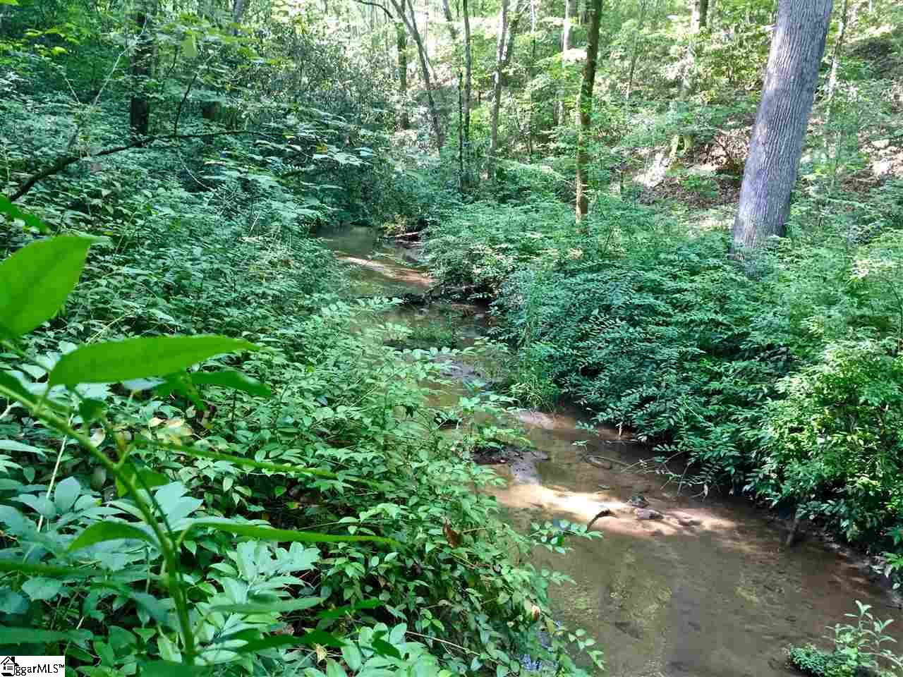 0 Hidden Hills Road Marietta, SC 29661 - Photo 9 of 11