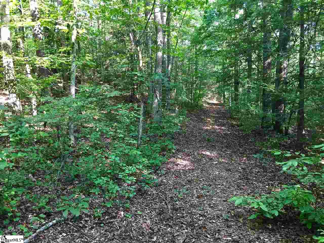 0 Hidden Hills Road Marietta, SC 29661 - Photo 10 of 11
