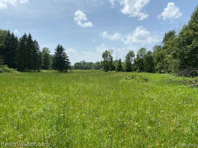 70-acres Hoyt Road Ionia, MI 48846 - Photo 6 of 9 Gallery Image 6