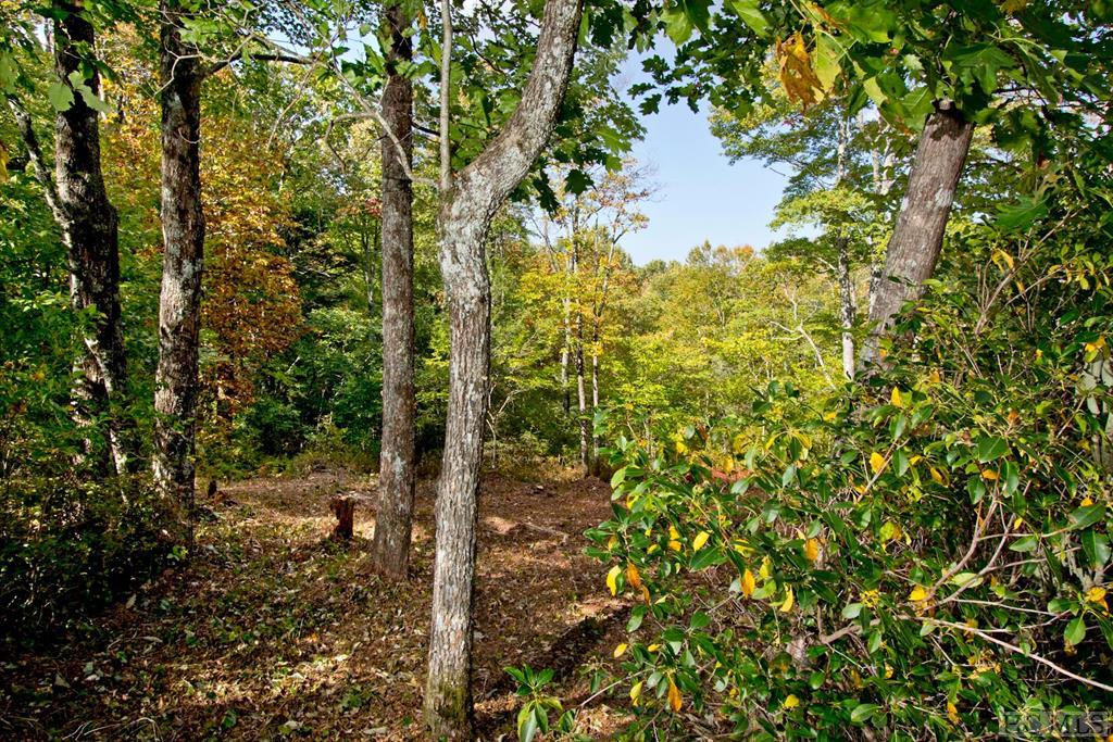 D-e Tanner Loop Highlands, NC 28741 - Photo 1 of 2 Gallery Image 1