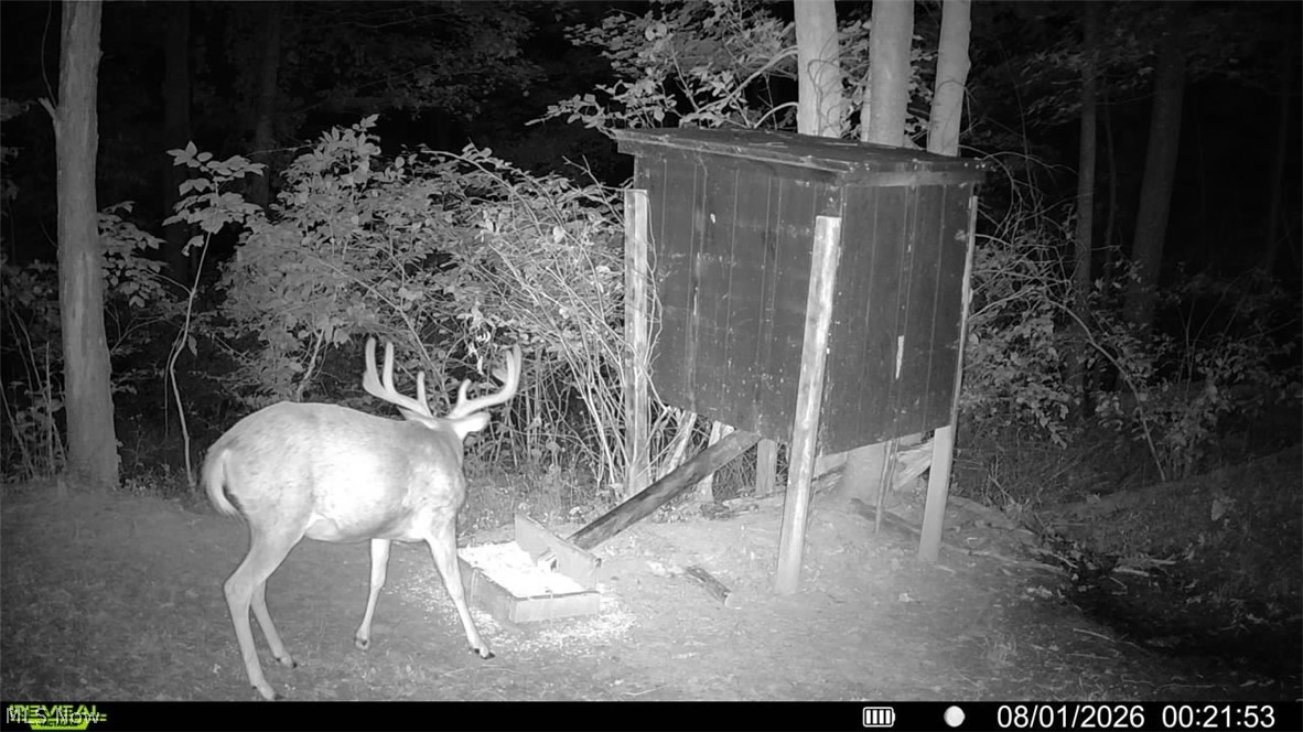 52982 Wegee Road Shadyside, OH 43947 - Photo 39 of 48
