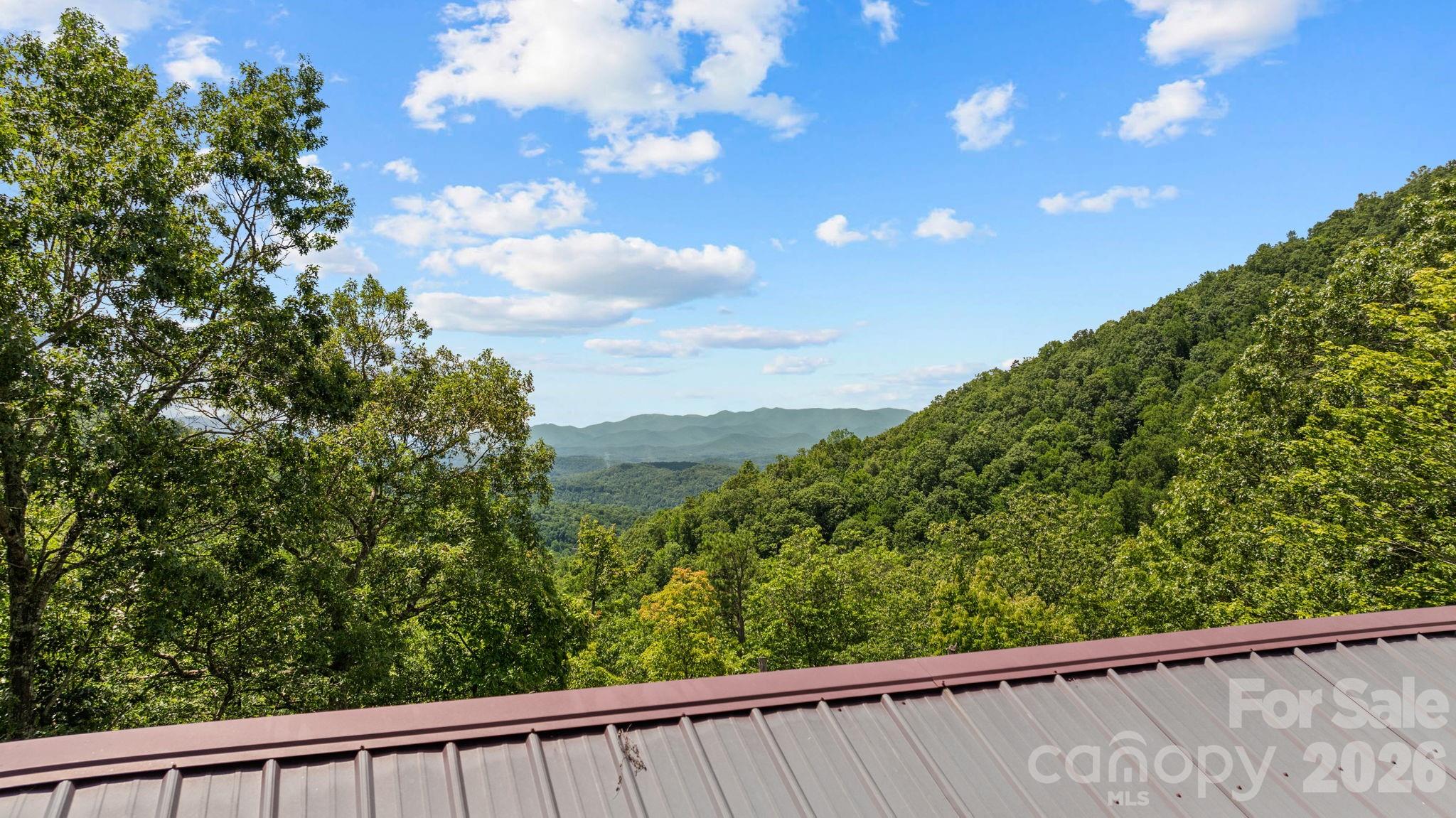 1268 Coon Creek Road Franklin, NC 28734 - Photo 24 of 44