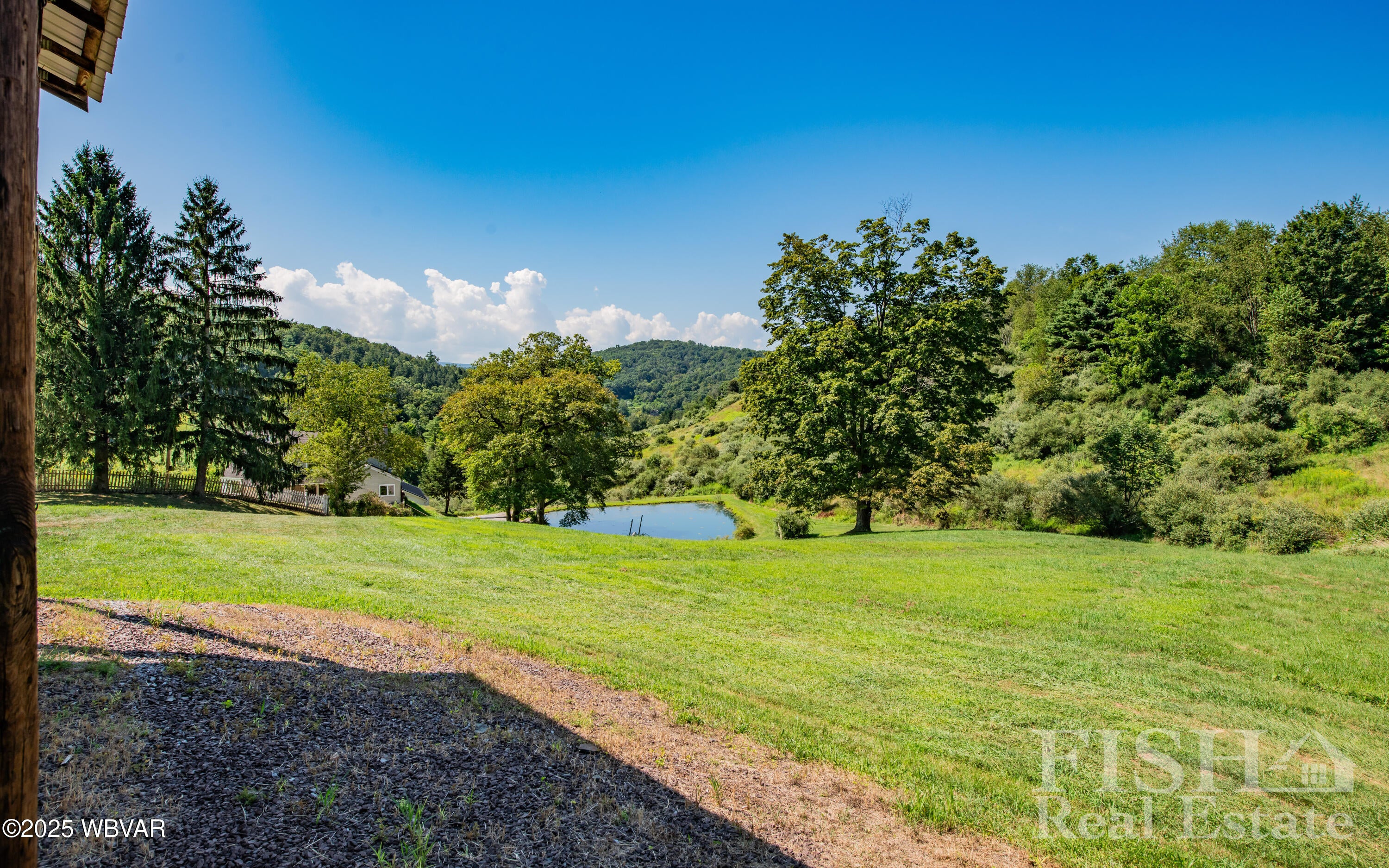 718 Turkey Path Road Linden, PA 17744 - Photo 60 of 65 View of the Pond from the Pavilion