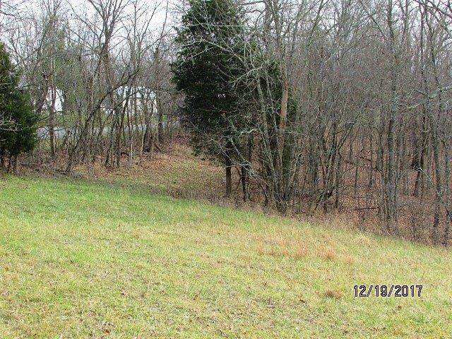1 Ogden Ridge Road Mount Olivet, KY 41064 - Photo 4 of 12 Photo 4