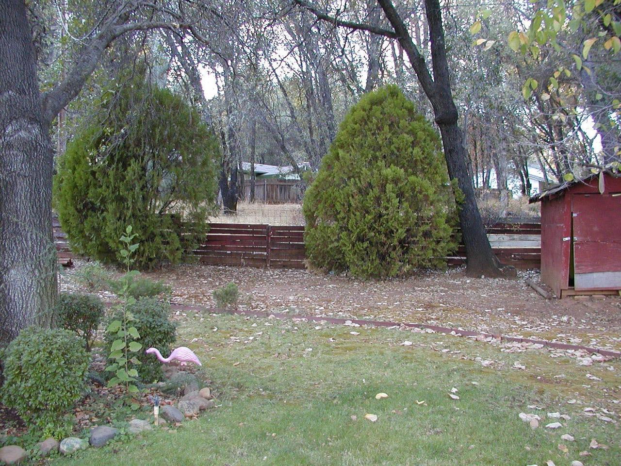 1704 Canyon Road Redding, CA 96001 - Photo 3 of 7 a view of a garden