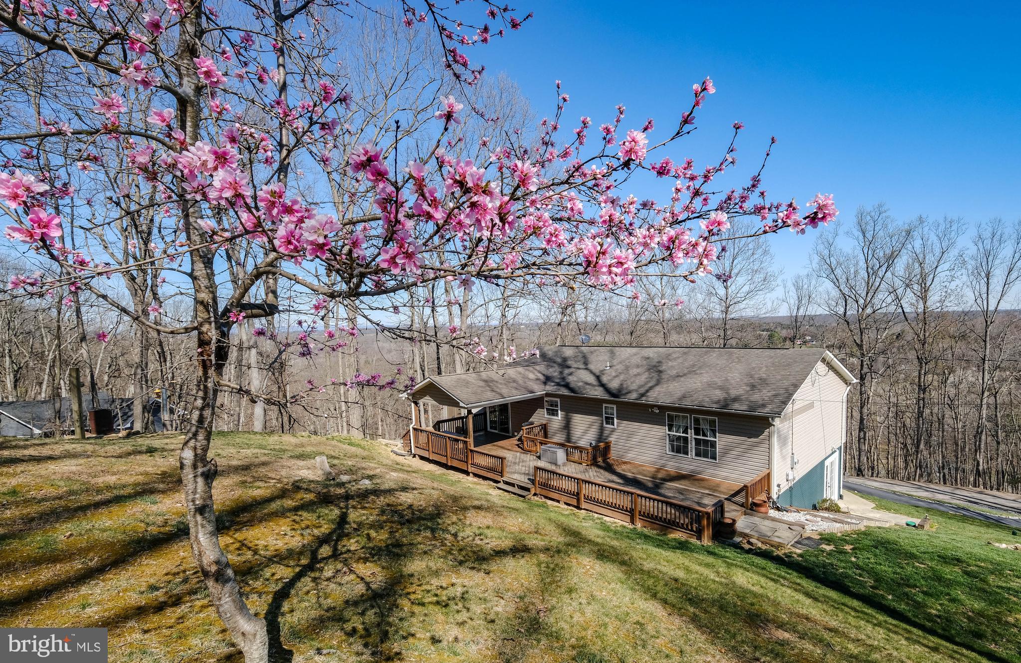 502 Thompson Mill Road Front Royal, VA 22630 - Photo 6 of 57