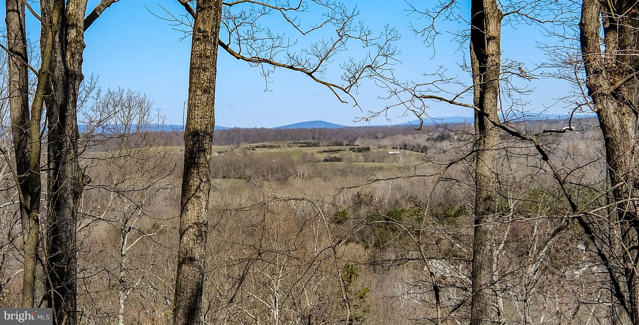 502 Thompson Mill Road Front Royal, VA 22630 - Photo 7 of 57