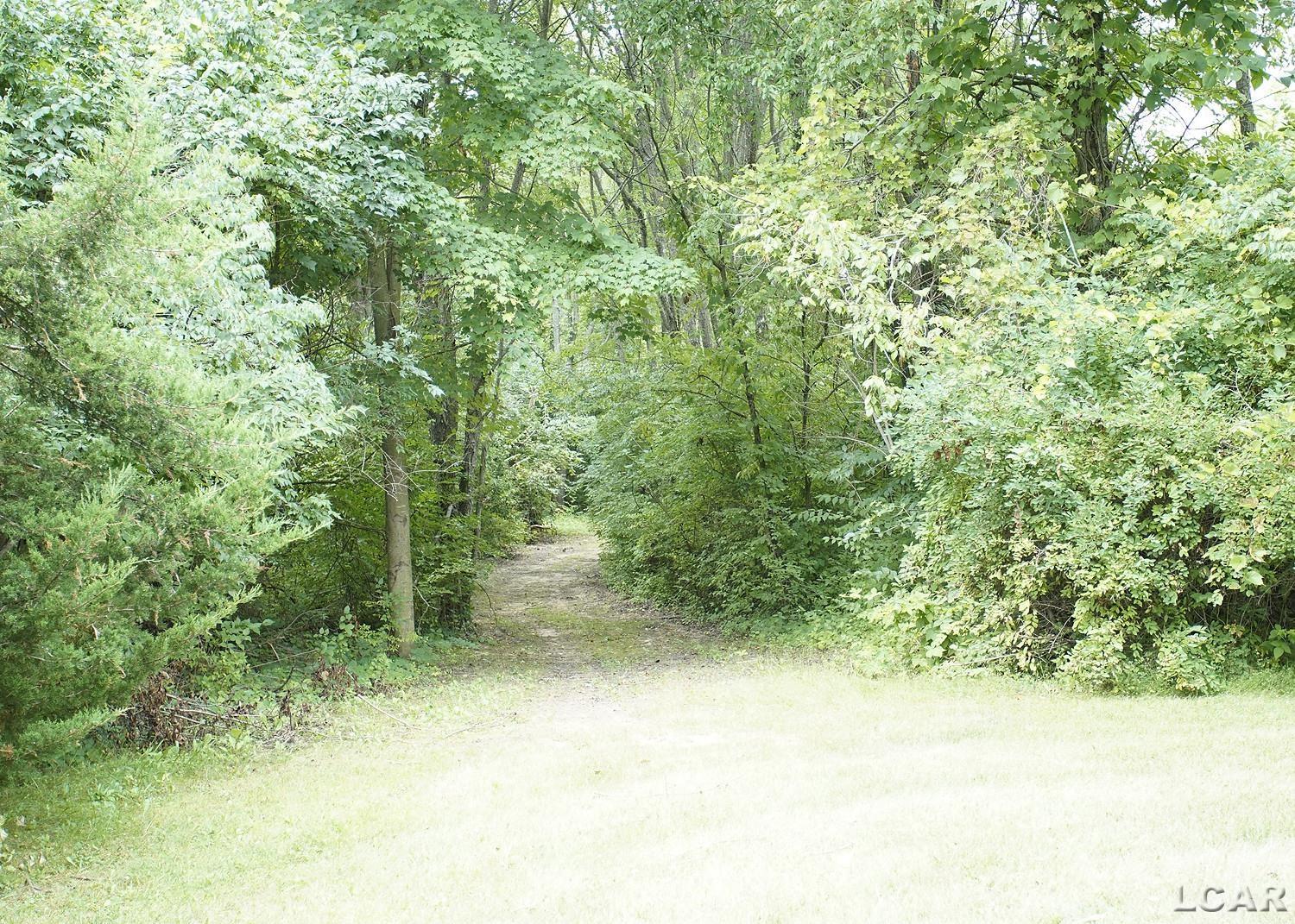 9108 Platt Road Milan, MI 48160 - Photo 38 of 59