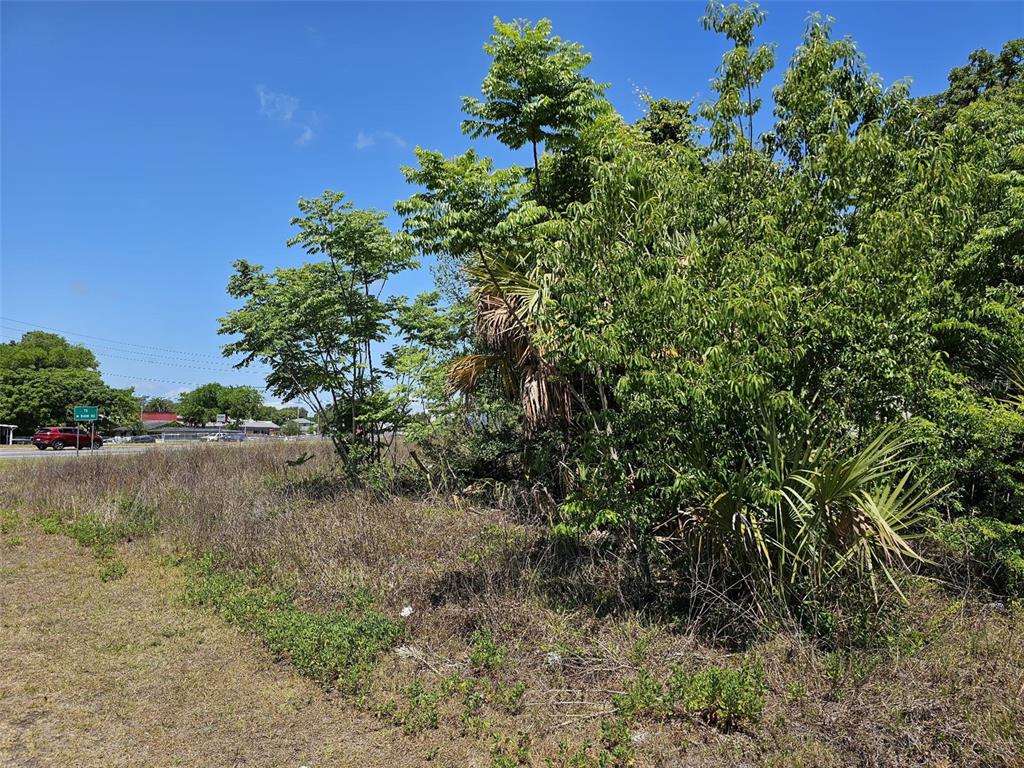 301 S Highway Belleview, FL 34420 - Photo 2 of 6