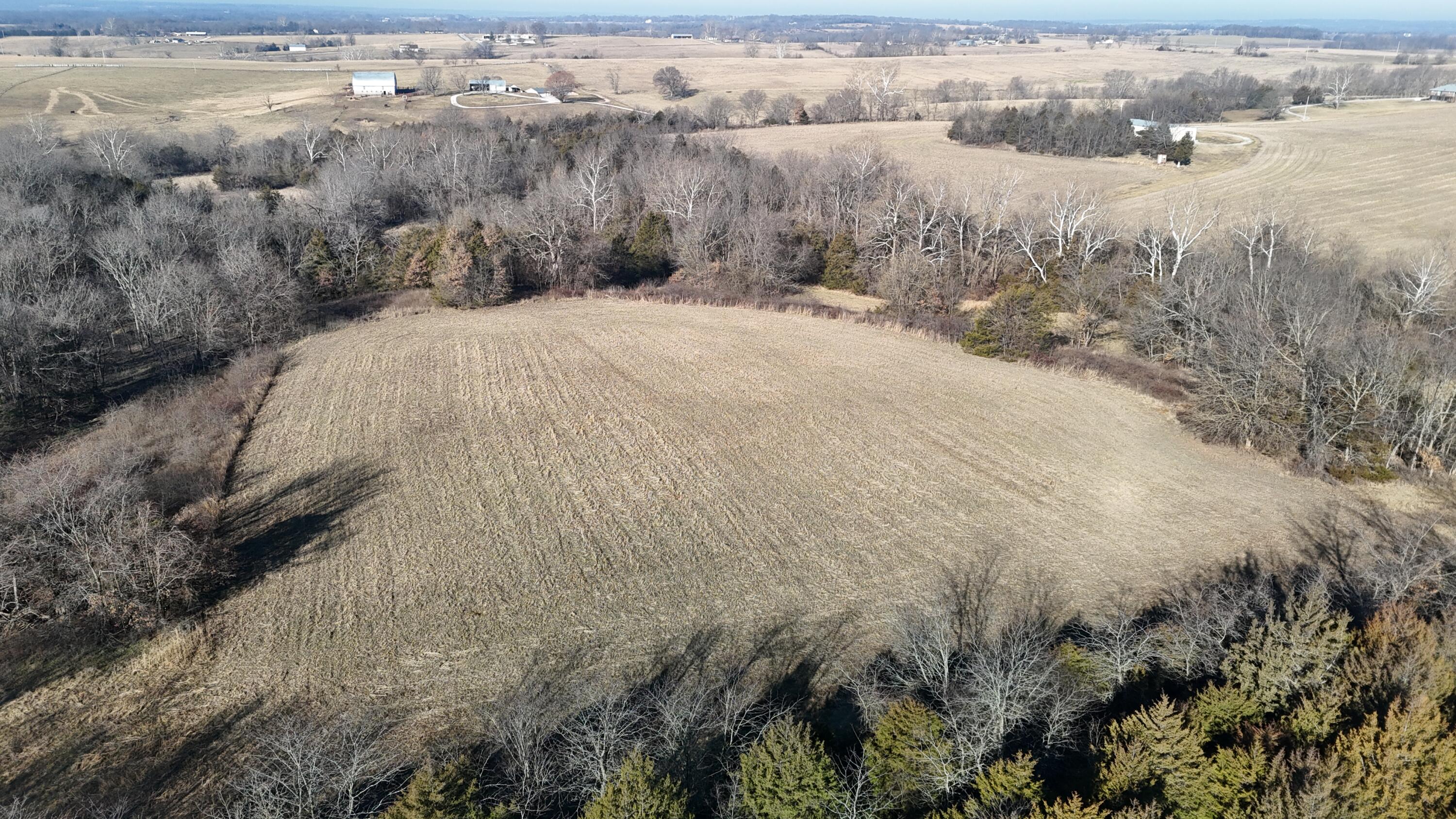 Lot 3 South 140th Road Morrisville, MO 65710 - Photo 11 of 12 DJI_20260209093557_0831_D