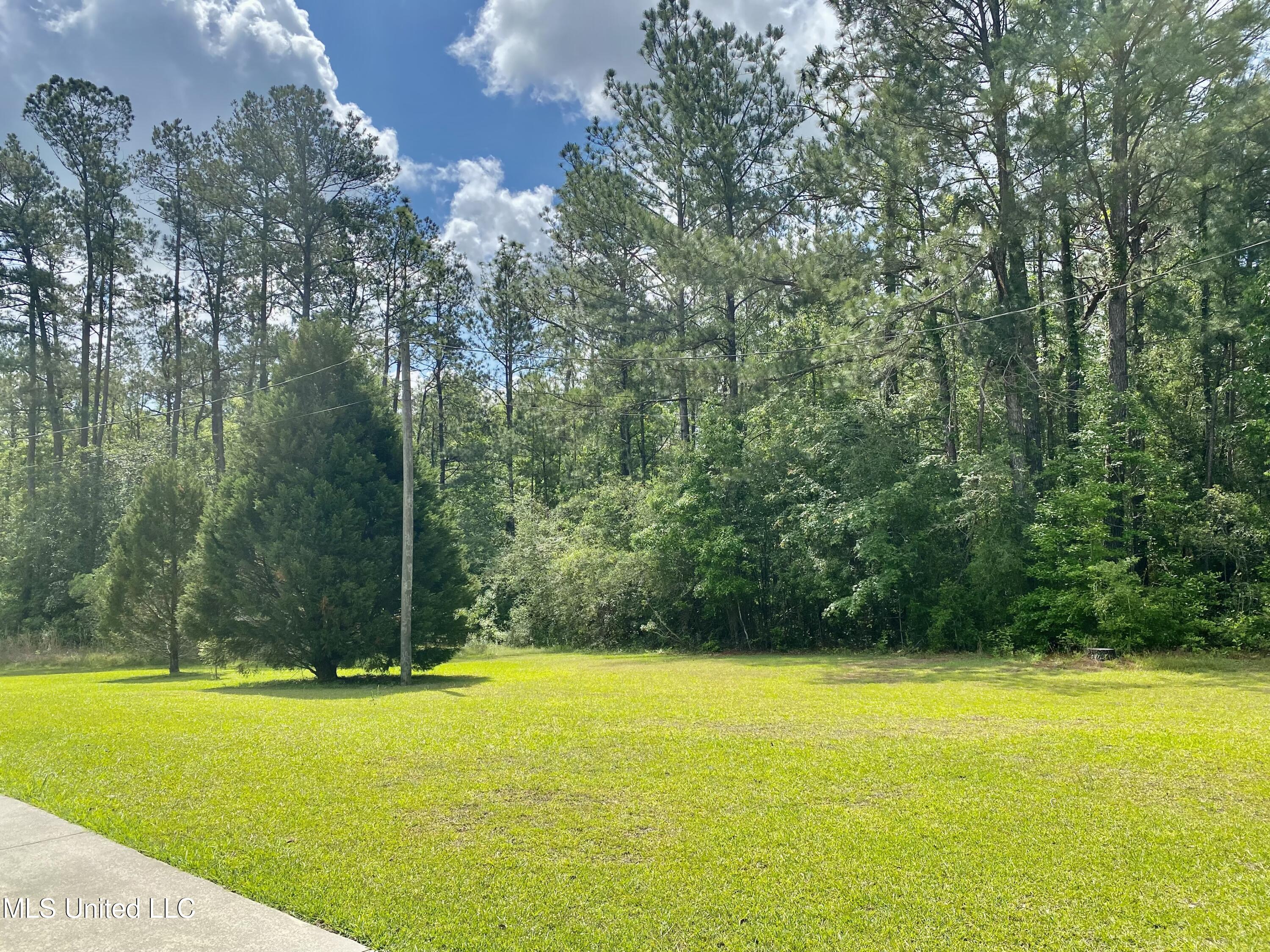 179 Timberlane Road Picayune, MS 39466 - Photo 6 of 28 Timberlane 1
