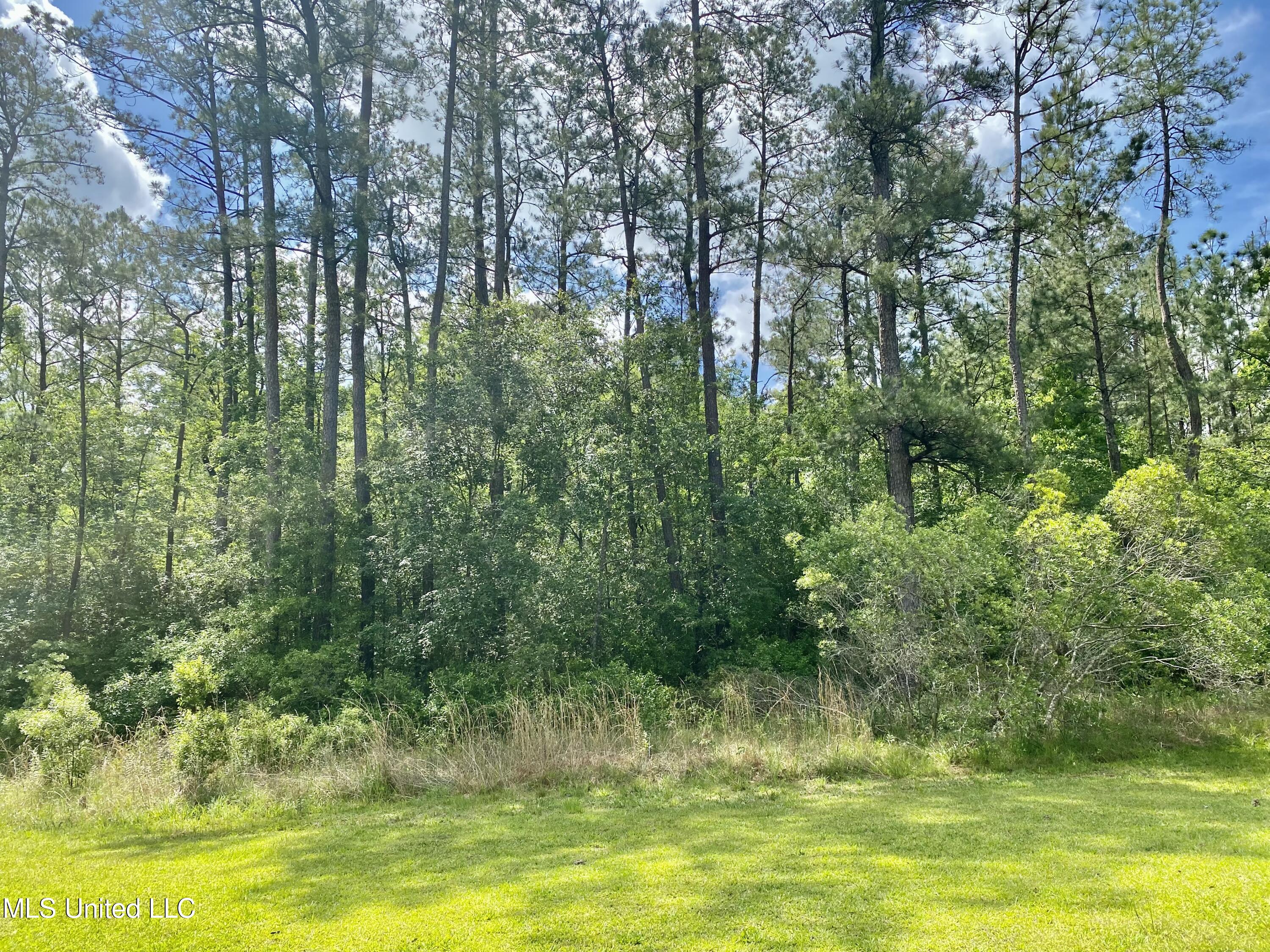 179 Timberlane Road Picayune, MS 39466 - Photo 8 of 28 Timberlane 4