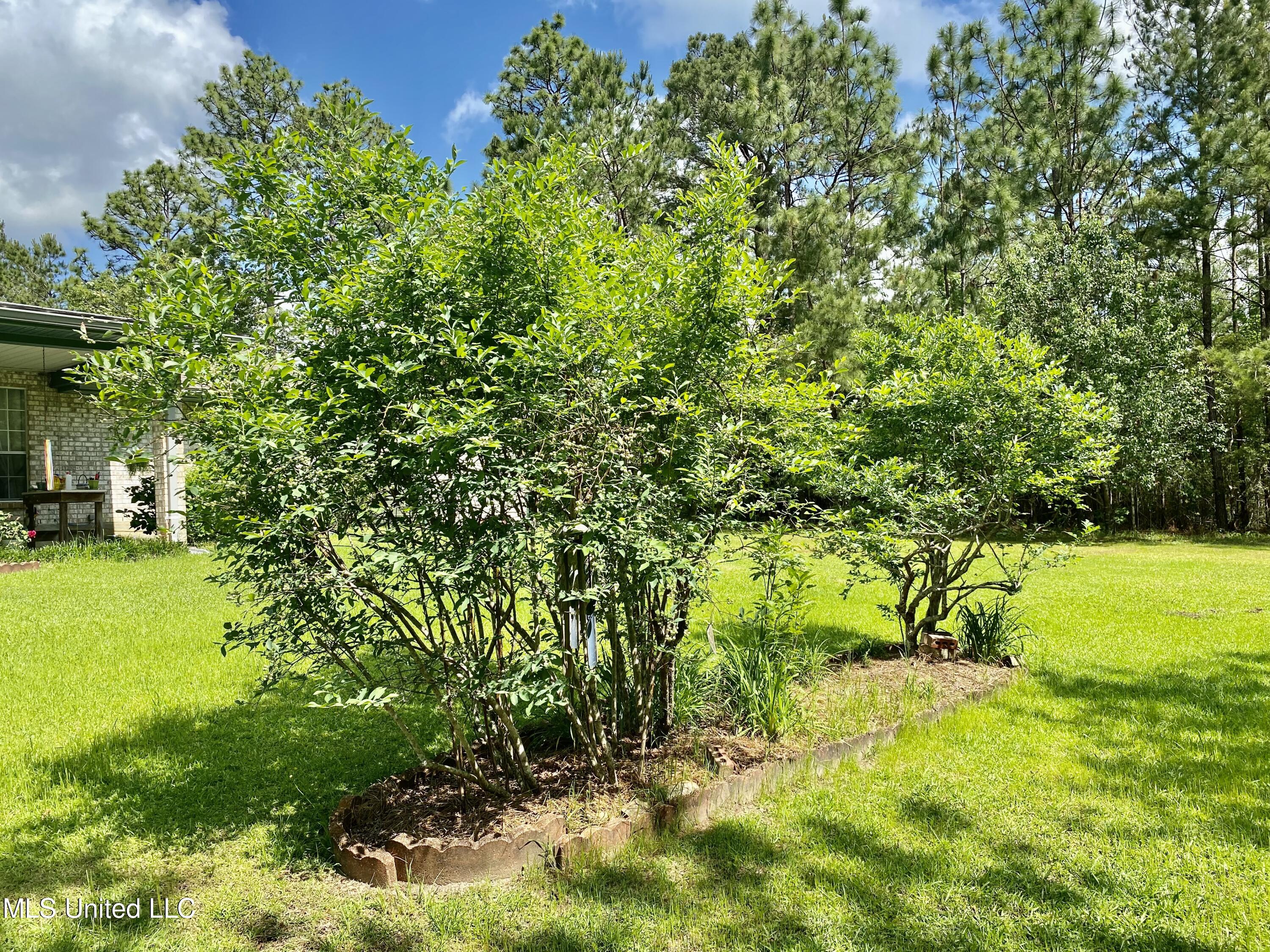 179 Timberlane Road Picayune, MS 39466 - Photo 9 of 28 Timberlane 5
