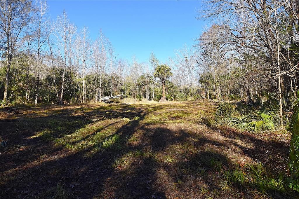 4721 Lingo Grove Road Edgewater, FL 32141 - Photo 7 of 10