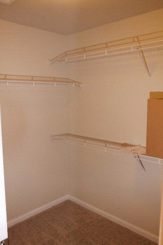 1517 Regency Road, Unit 132 Gulf Shores, AL 36542 - Photo 19 of 24 walk in closet