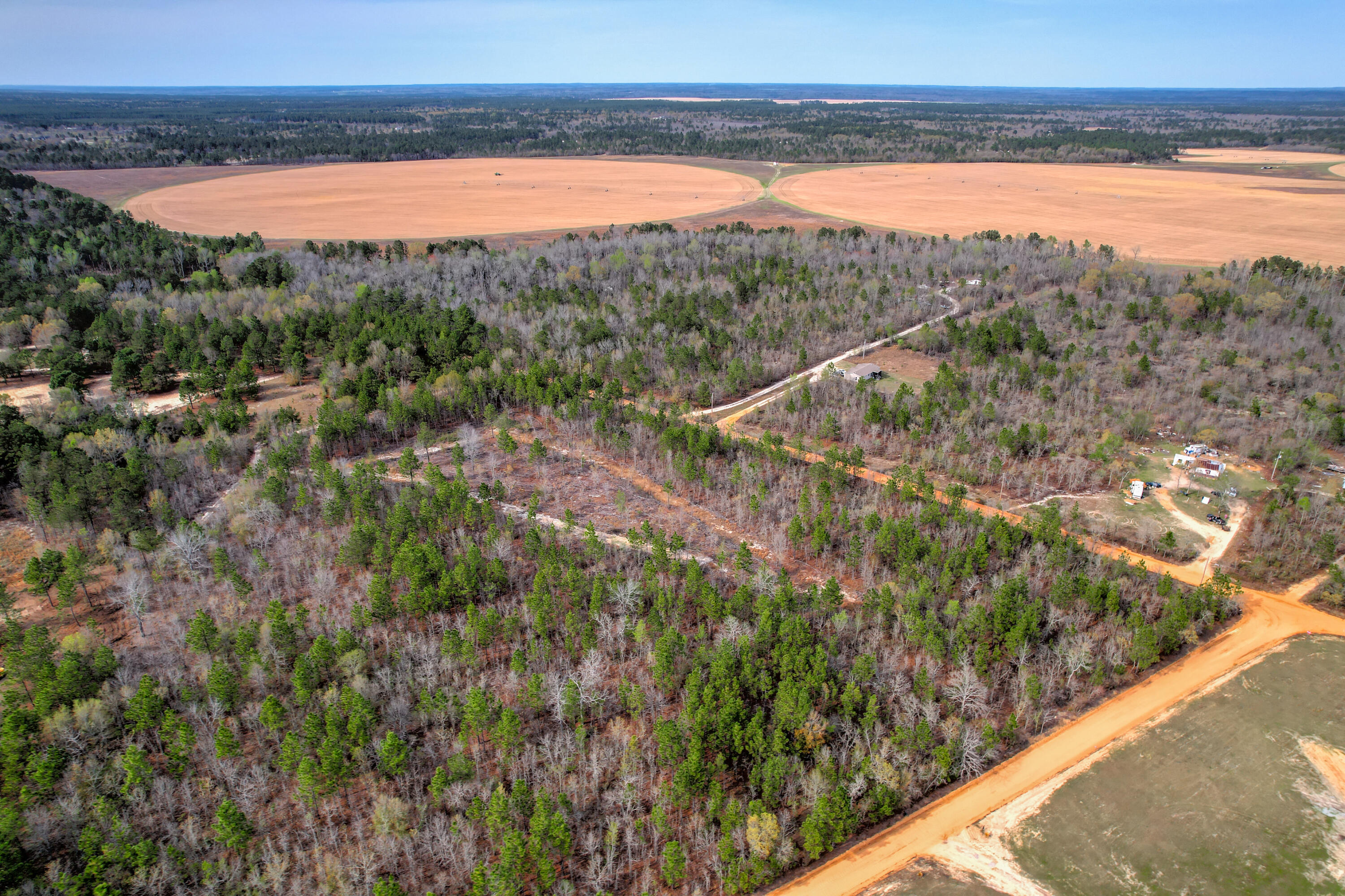 11-acres North 11-acres N Windsor Road Windsor, SC 29856 - Photo 13 of 16