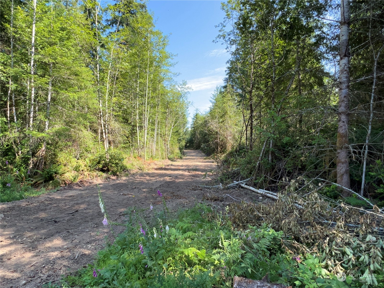 4 East Wild Grape Way Grapeview, WA 98546 - Photo 5 of 15 Gallery Image 5