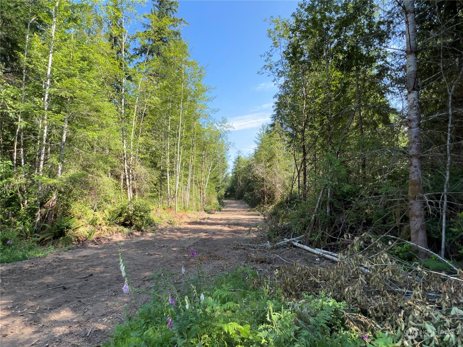 4 East Wild Grape Way Grapeview, WA 98546 - Photo 6 of 15 Gallery Image 6