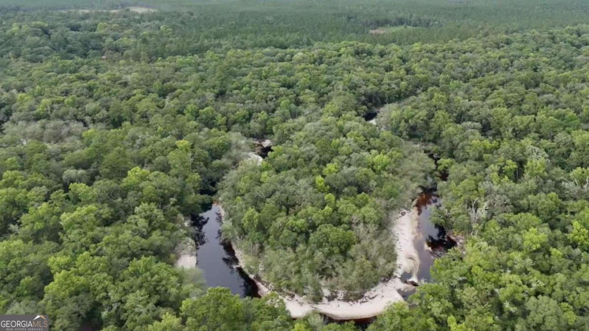 Lot 8 Emmaus Church Road St. George, GA 31562 - Photo 4 of 10 an aerial view of a house with yard and outdoor seating
