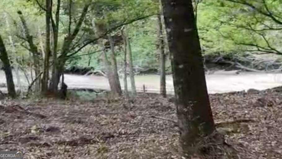 Lot 8 Emmaus Church Road St. George, GA 31562 - Photo 5 of 10 a view of a yard with a tree