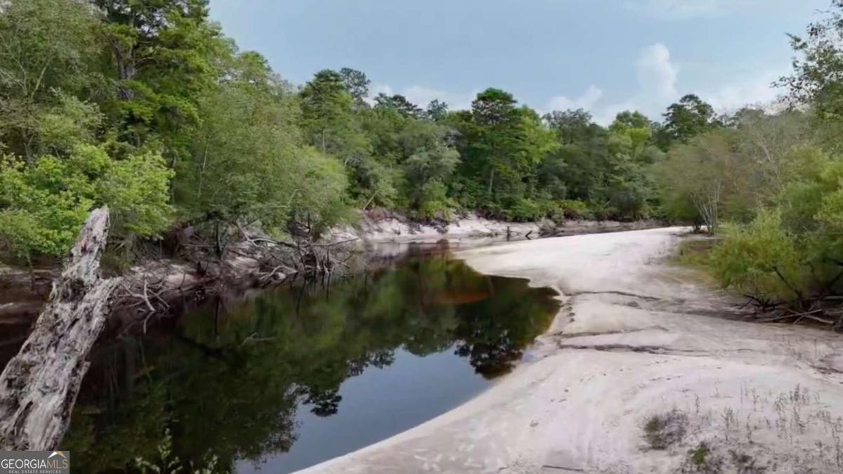 Lot 8 Emmaus Church Road St. George, GA 31562 - Photo 7 of 10 a view of a lake with beach and trees all around