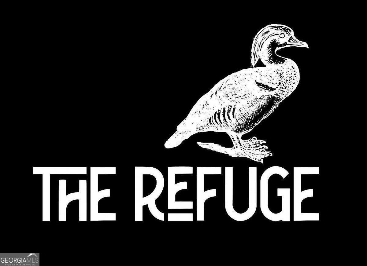 Lot 8 Emmaus Church Road St. George, GA 31562 - Photo 9 of 10