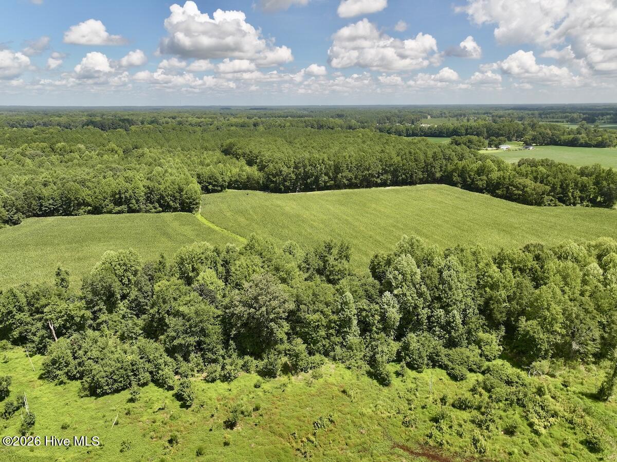 Lot 3 Mobley Road Lucama, NC 27851 - Photo 6 of 34 6