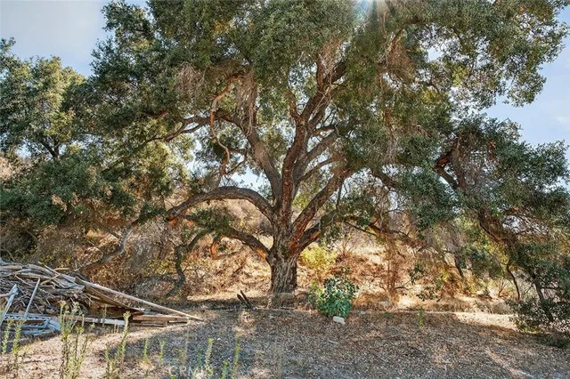 a close view of water heater room