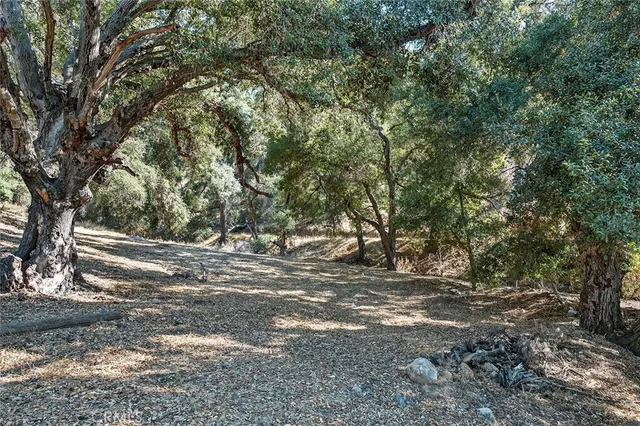 a bunch of bottles sitting on a floor