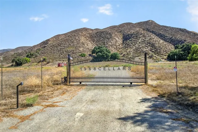 a view of a book in the garden