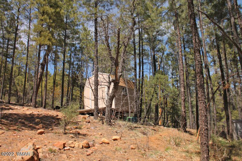 597 Ridge Drive Pinedale, AZ 85934 - Photo 28 of 28