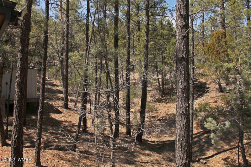 597 Ridge Drive Pinedale, AZ 85934 - Photo 5 of 28