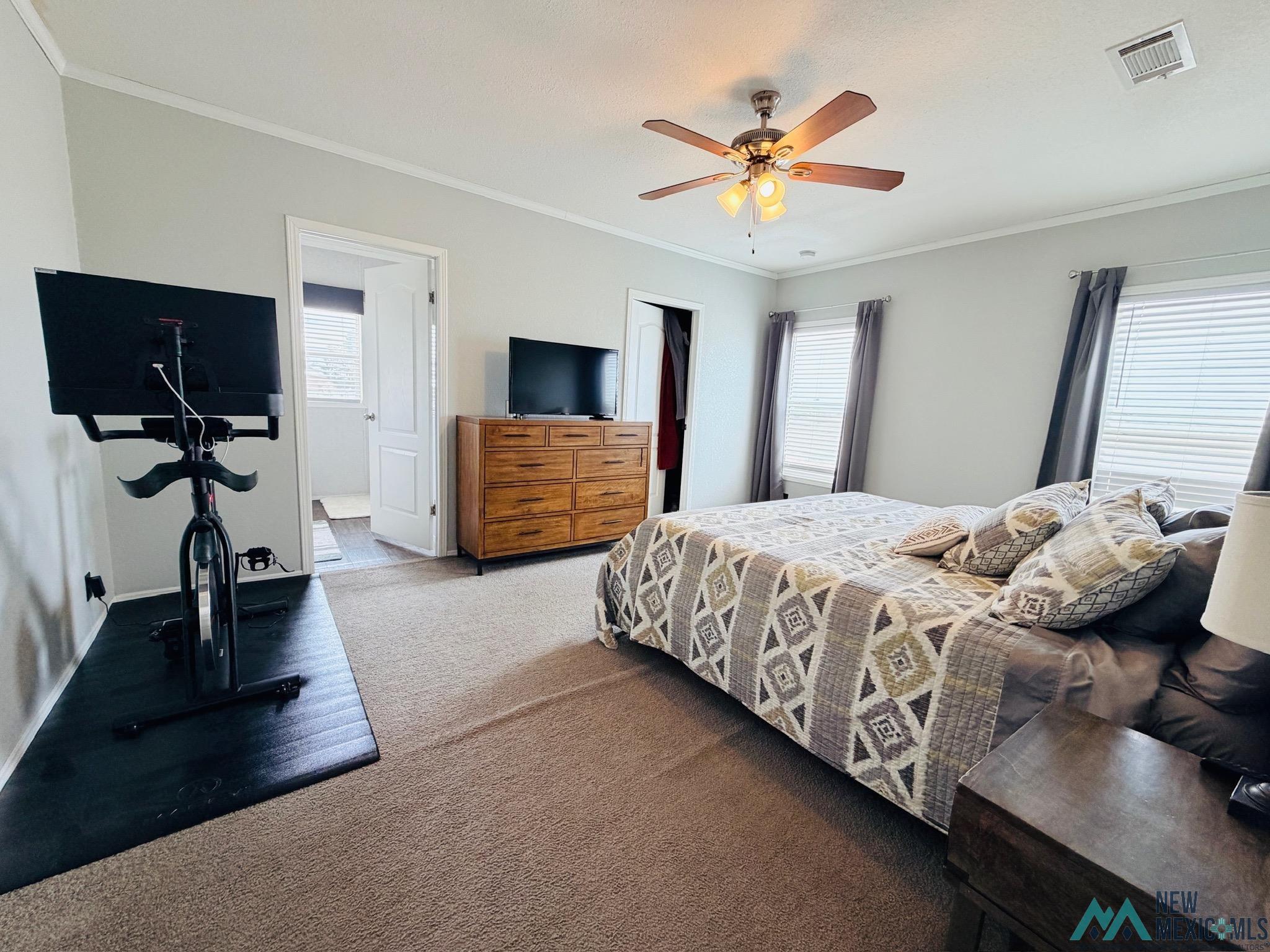 7882 Shoshoni Road Hagerman, NM 88232 - Photo 11 of 24 Gallery Image 11