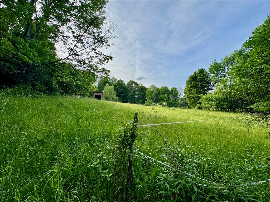 187 George Wade Road Guilford, NY 13780 - Photo 29 of 47 Open area for horses, some old coral fencing