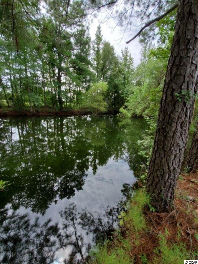 Temperance Hill Road Marion, SC 29571 - Photo 14 of 25 Gallery Image 14